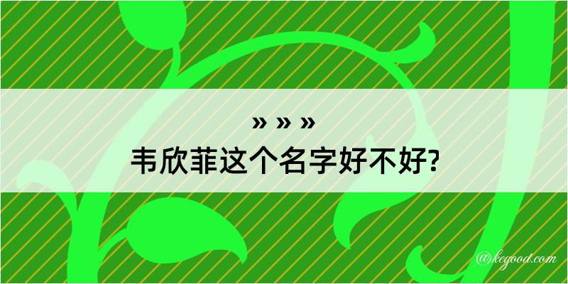 韦欣菲这个名字好不好?