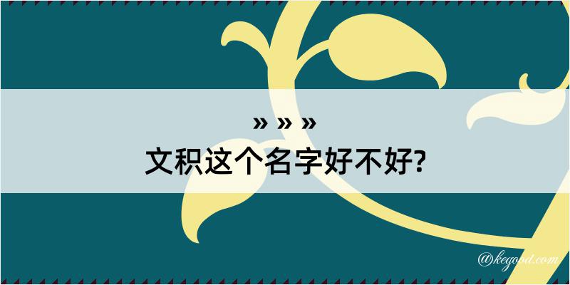 文积这个名字好不好?