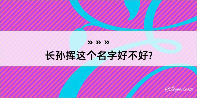 长孙挥这个名字好不好?