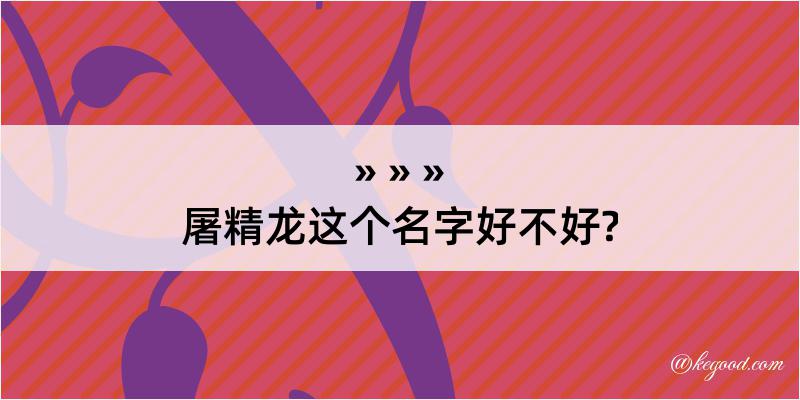 屠精龙这个名字好不好?