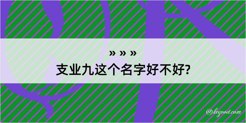 支业九这个名字好不好?