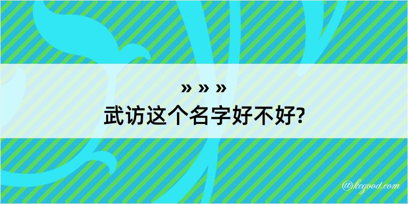 武访这个名字好不好?