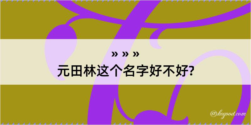 元田林这个名字好不好?