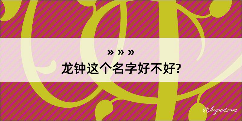 龙钟这个名字好不好?