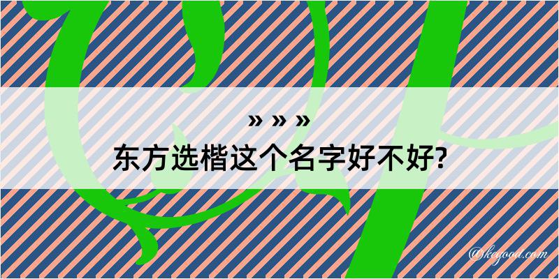 东方选楷这个名字好不好?