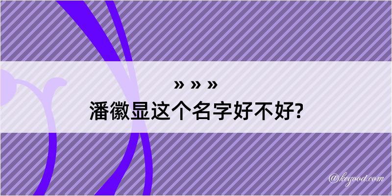 潘徽显这个名字好不好?