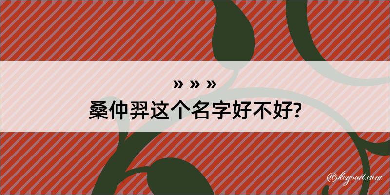 桑仲羿这个名字好不好?