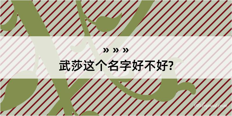 武莎这个名字好不好?