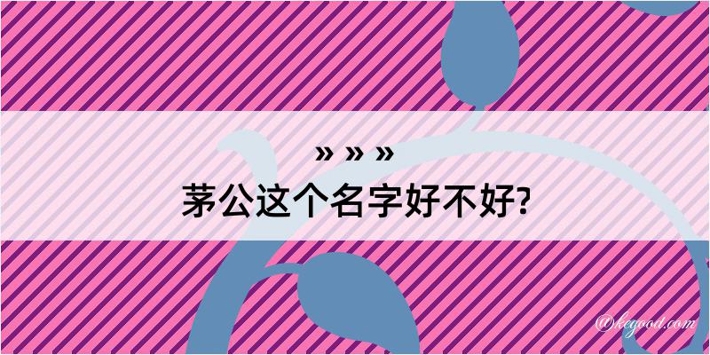 茅公这个名字好不好?