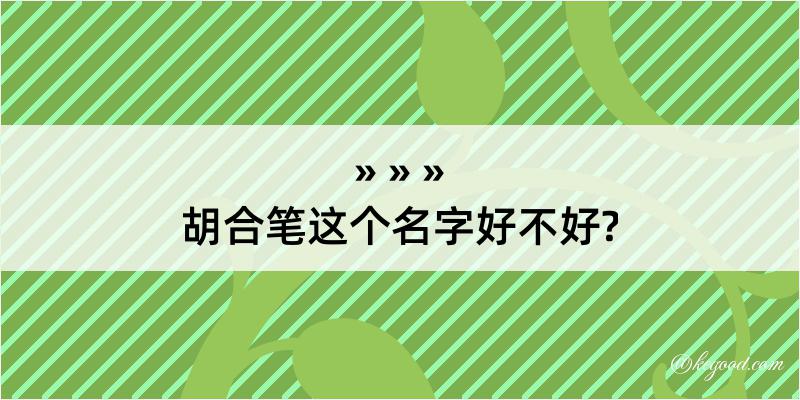 胡合笔这个名字好不好?