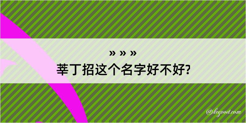 莘丁招这个名字好不好?