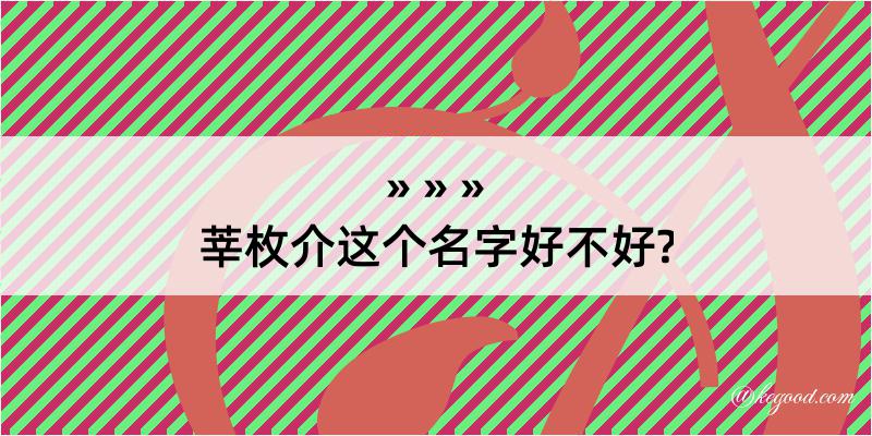 莘枚介这个名字好不好?