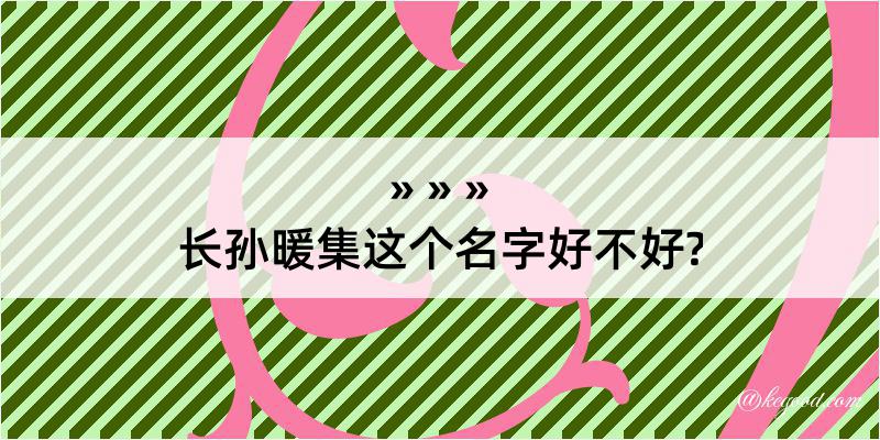 长孙暖集这个名字好不好?