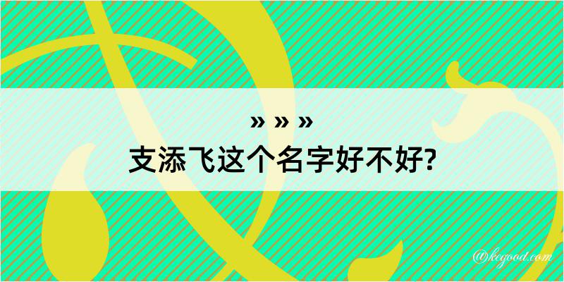 支添飞这个名字好不好?