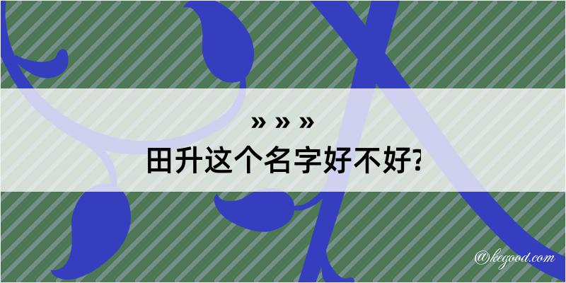 田升这个名字好不好?