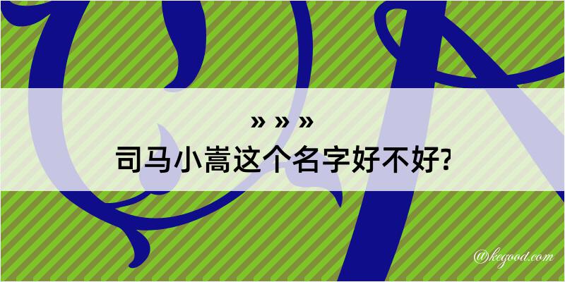 司马小嵩这个名字好不好?