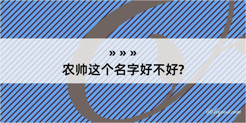 农帅这个名字好不好?