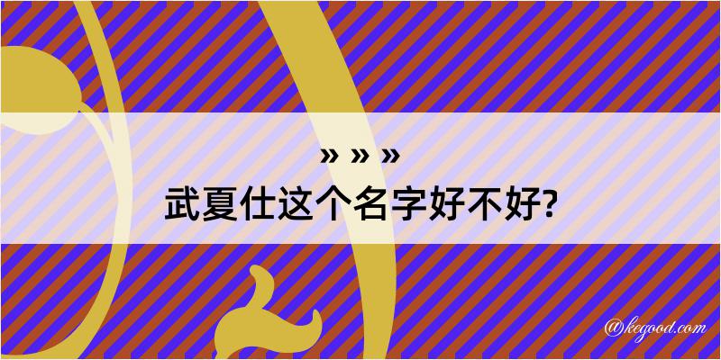 武夏仕这个名字好不好?