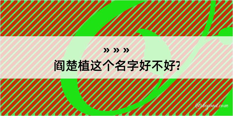 阎楚植这个名字好不好?