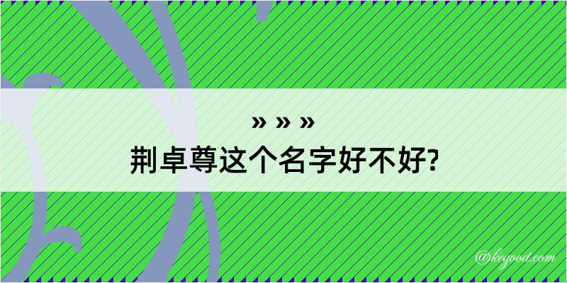 荆卓尊这个名字好不好?