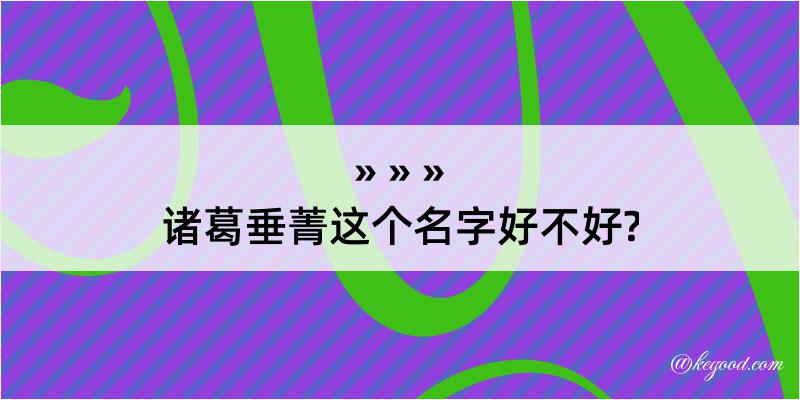 诸葛垂菁这个名字好不好?