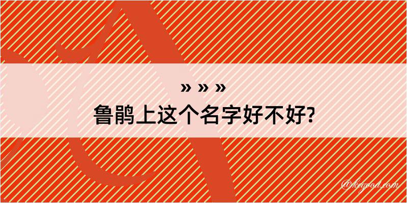 鲁鹃上这个名字好不好?