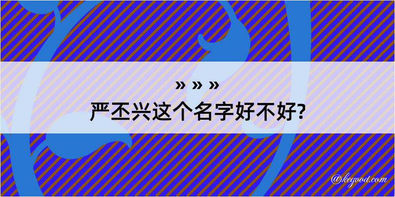 严丕兴这个名字好不好?