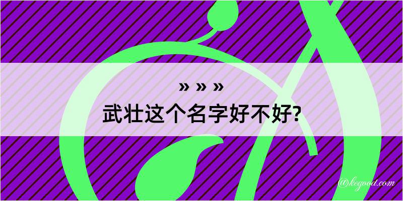 武壮这个名字好不好?