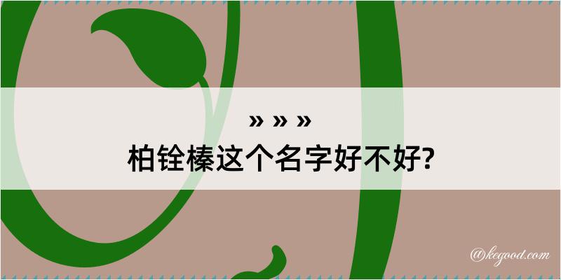 柏铨榛这个名字好不好?