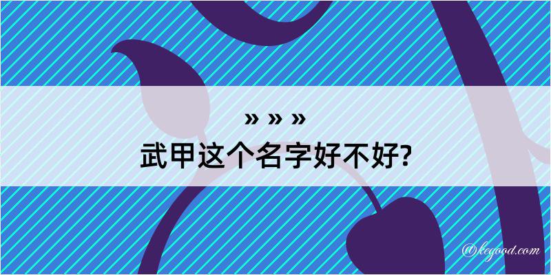 武甲这个名字好不好?