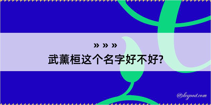 武薰桓这个名字好不好?