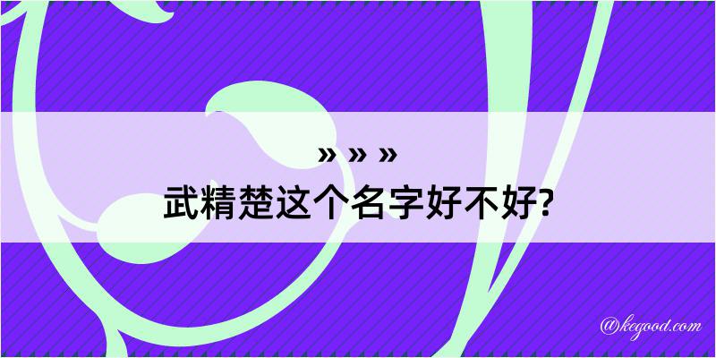 武精楚这个名字好不好?