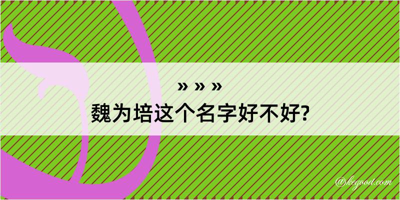 魏为培这个名字好不好?