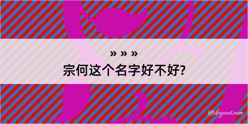 宗何这个名字好不好?