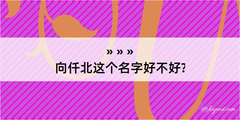 向仟北这个名字好不好?