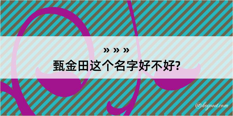 甄金田这个名字好不好?