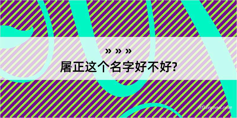 屠正这个名字好不好?