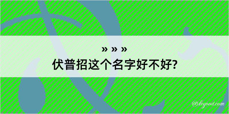 伏普招这个名字好不好?