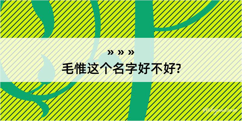 毛惟这个名字好不好?