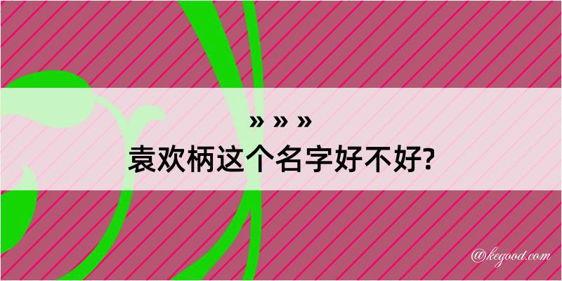 袁欢柄这个名字好不好?