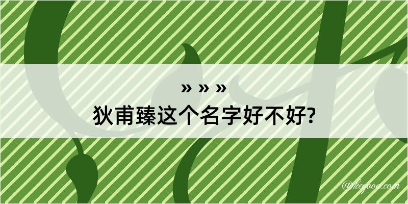 狄甫臻这个名字好不好?