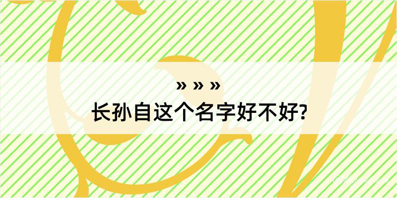 长孙自这个名字好不好?