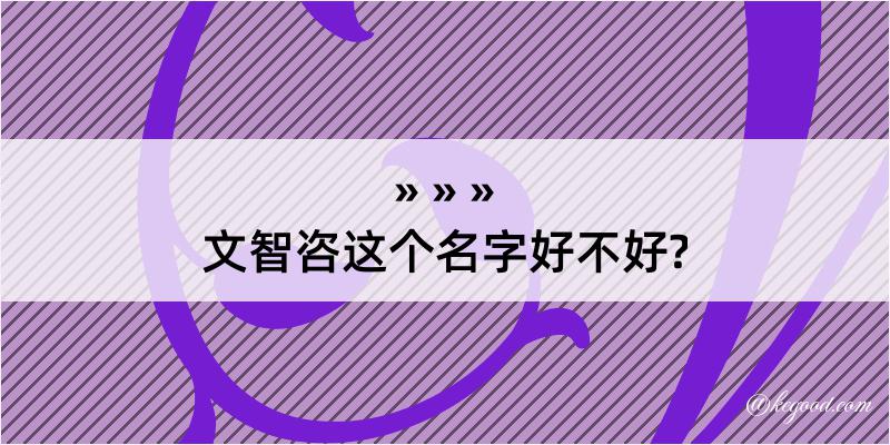 文智咨这个名字好不好?