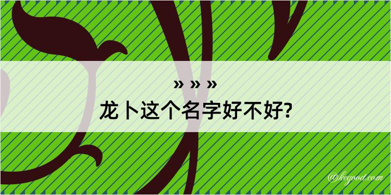 龙卜这个名字好不好?