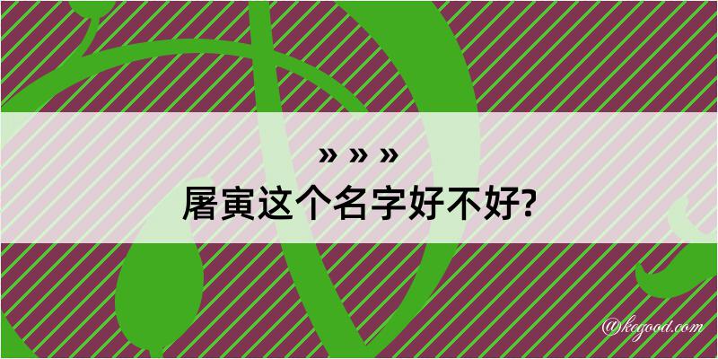 屠寅这个名字好不好?