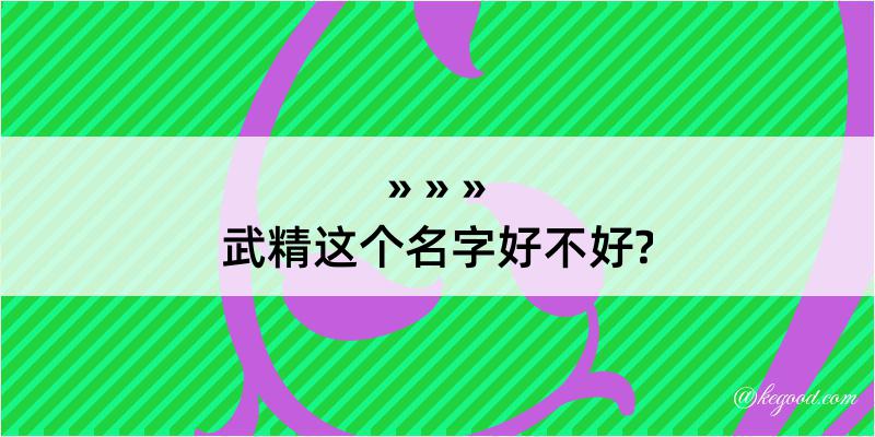 武精这个名字好不好?