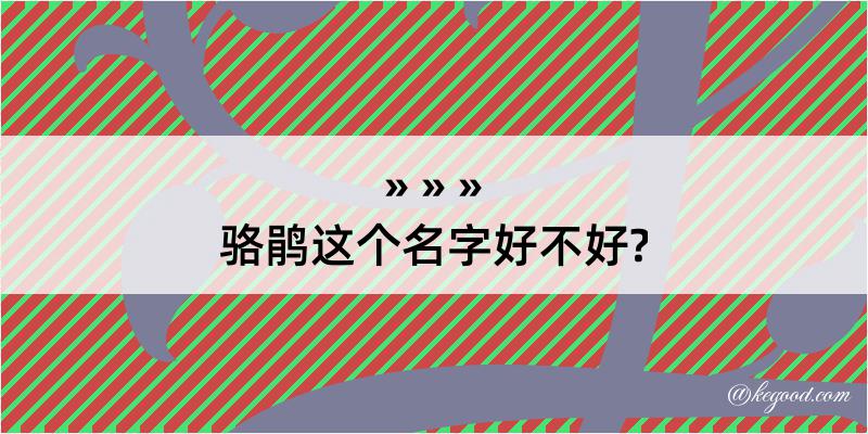 骆鹃这个名字好不好?