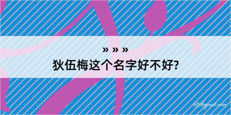 狄伍梅这个名字好不好?