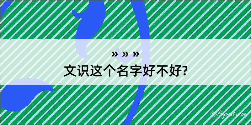 文识这个名字好不好?