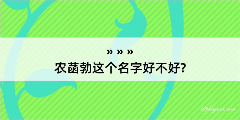 农菡勃这个名字好不好?